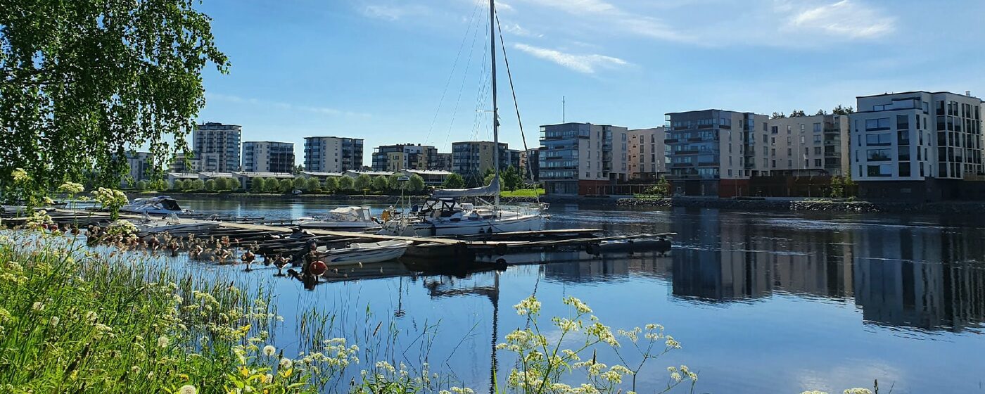 Pieni venesatama ja purjevene tyynen veden äärellä Joensuussa aurinkoisena kesäpäivänä; etualalla niittykukkia ja koivunoksia, taustalla kerrostaloja.