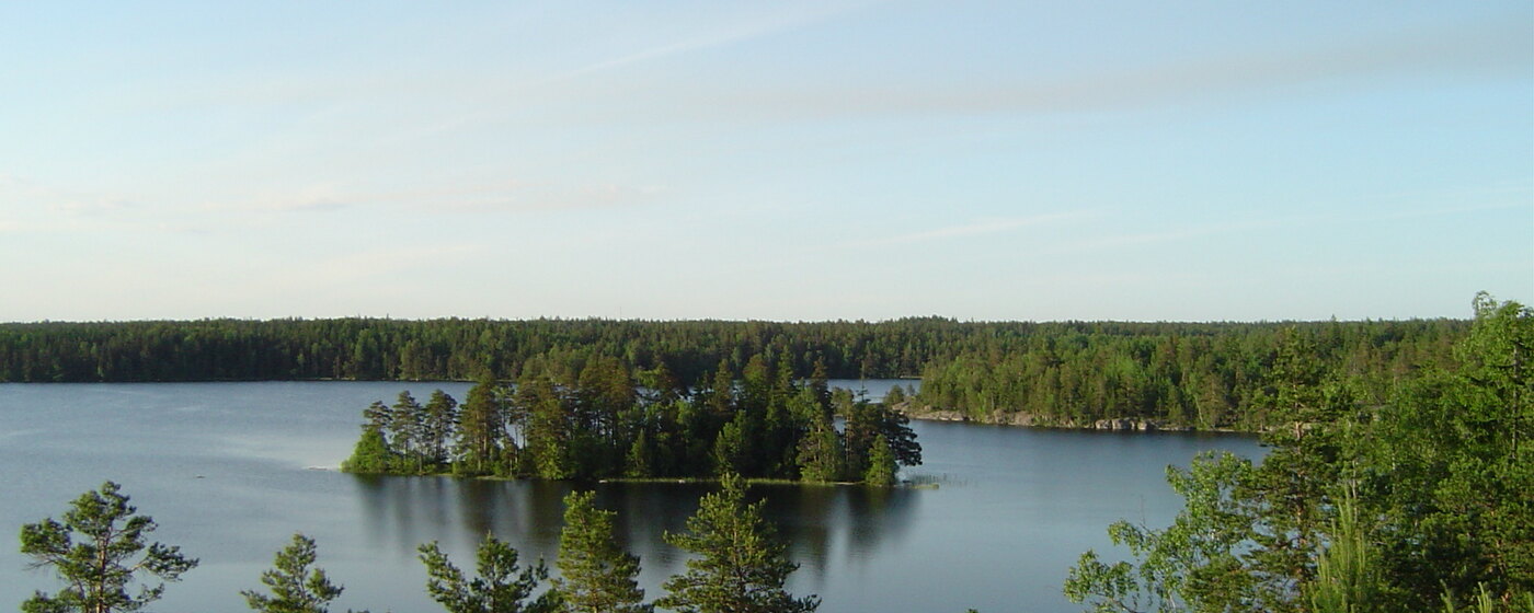 Tyyni Meikon järvi Kirkkonummella: kirkasta vettä, mäntyjen reunustama metsäluoto keskellä ja poutapilviä kesätaivaalla.